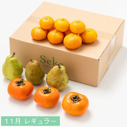 たべごろフルーツ定期便　レギュラーコース3カ月継続プラン（4,880円×3カ月）