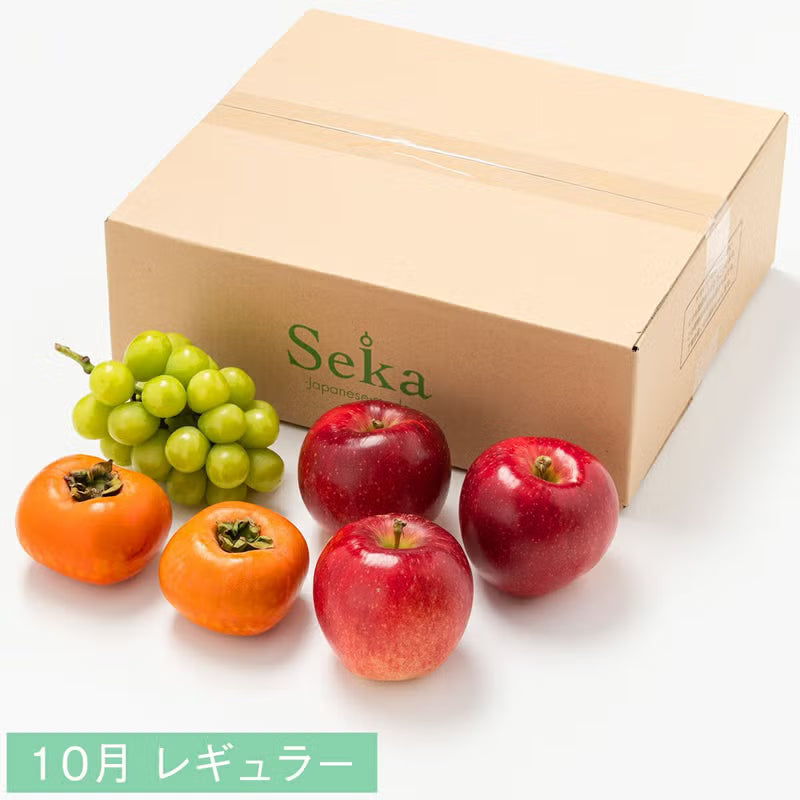 たべごろフルーツ定期便　レギュラーコース3カ月継続プラン（4,880円×3カ月）