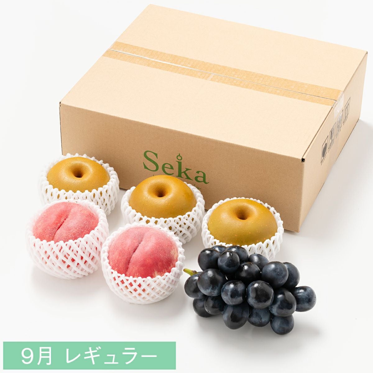 たべごろフルーツ定期便　レギュラーコース3カ月継続プラン（4,880円×3カ月）