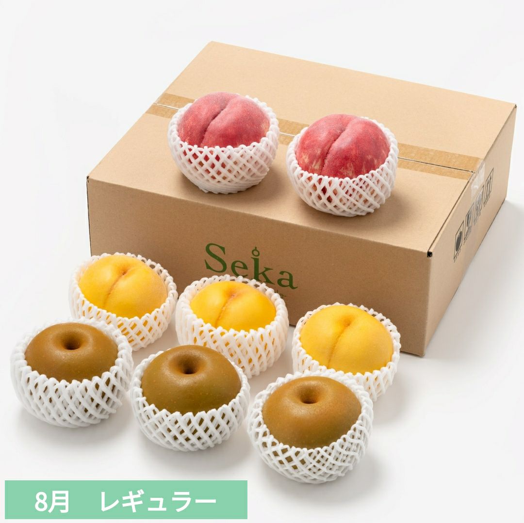 たべごろフルーツ定期便　レギュラーコース3カ月継続プラン（4,880円×3カ月）