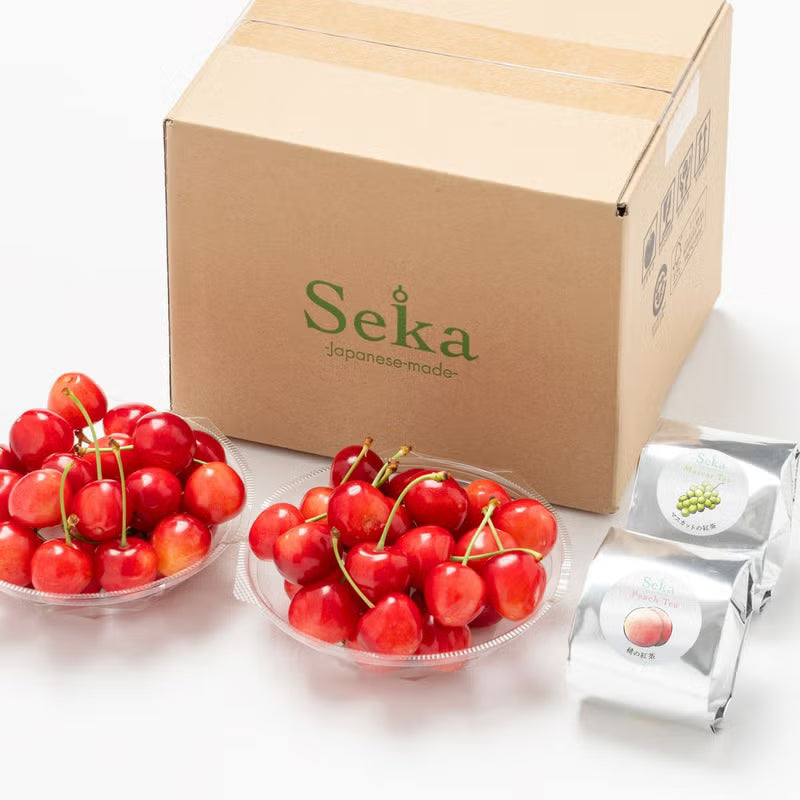 たべごろフルーツ定期便　レギュラーコース3カ月継続プラン（4,880円×3カ月）