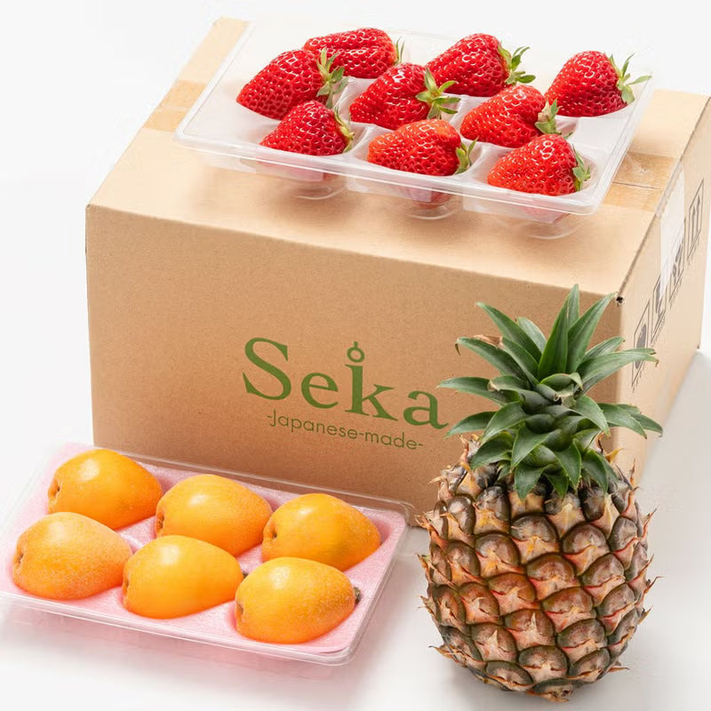 たべごろフルーツ定期便　レギュラーコース3カ月継続プラン（4,880円×3カ月）