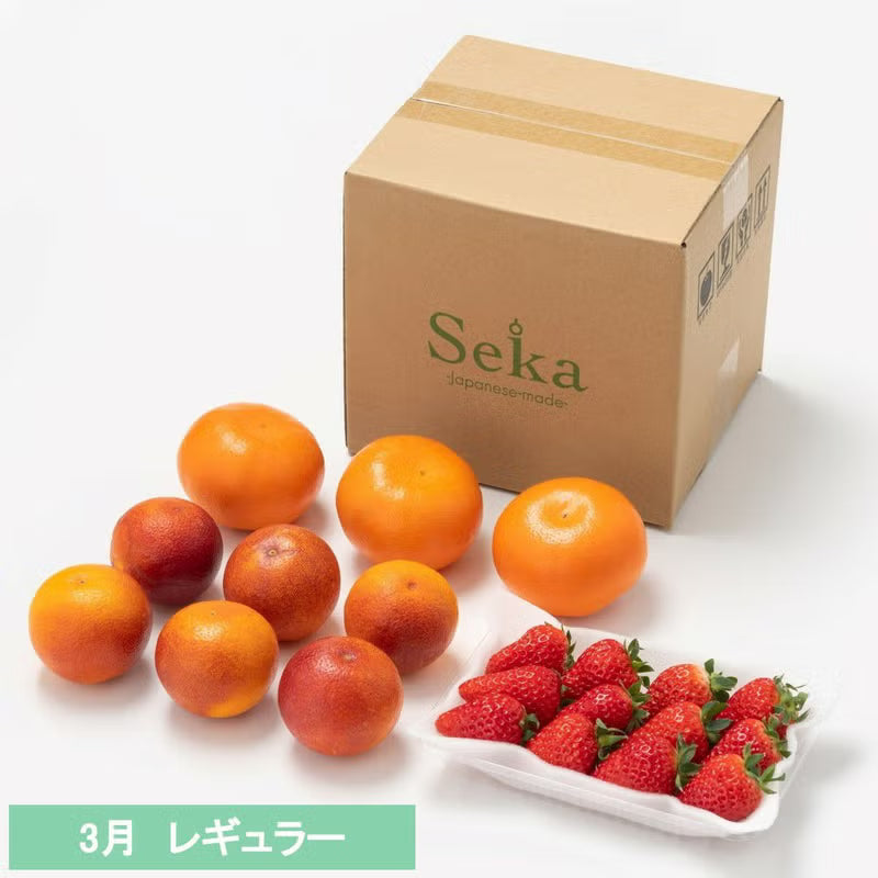 たべごろフルーツ定期便　レギュラーコース3カ月継続プラン（4,880円×3カ月）