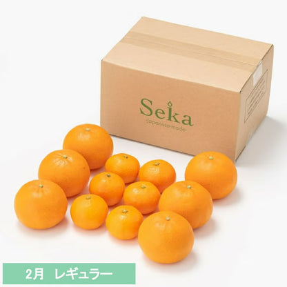 たべごろフルーツ定期便　レギュラーコース3カ月継続プラン（4,880円×3カ月）