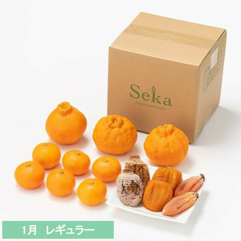 たべごろフルーツ定期便　レギュラーコース3カ月継続プラン（4,880円×3カ月）