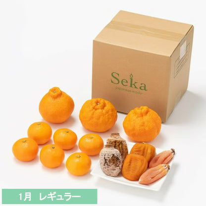 たべごろフルーツ定期便　レギュラーコース3カ月継続プラン（4,880円×3カ月）