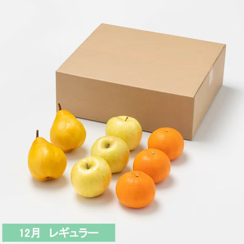 たべごろフルーツ定期便　レギュラーコース3カ月継続プラン（4,880円×3カ月）