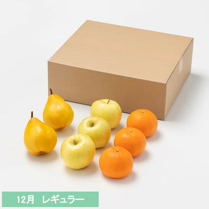 たべごろフルーツ定期便　レギュラーコース3カ月継続プラン（4,880円×3カ月）