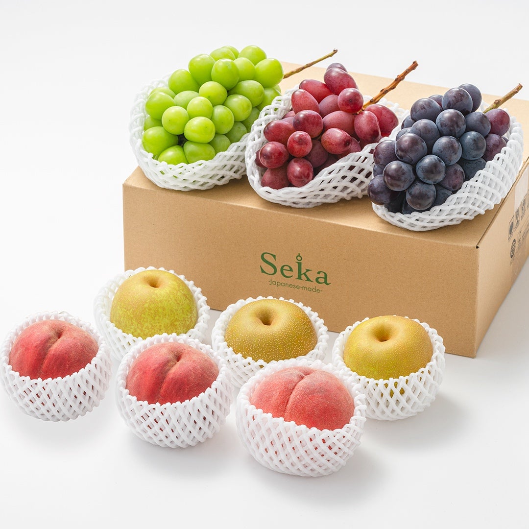 たべごろフルーツ定期便　プレミアムコース3カ月継続プラン（9,780円×3カ月）