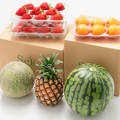 たべごろフルーツ定期便　プレミアムコース3カ月継続プラン（9,780円×3カ月）