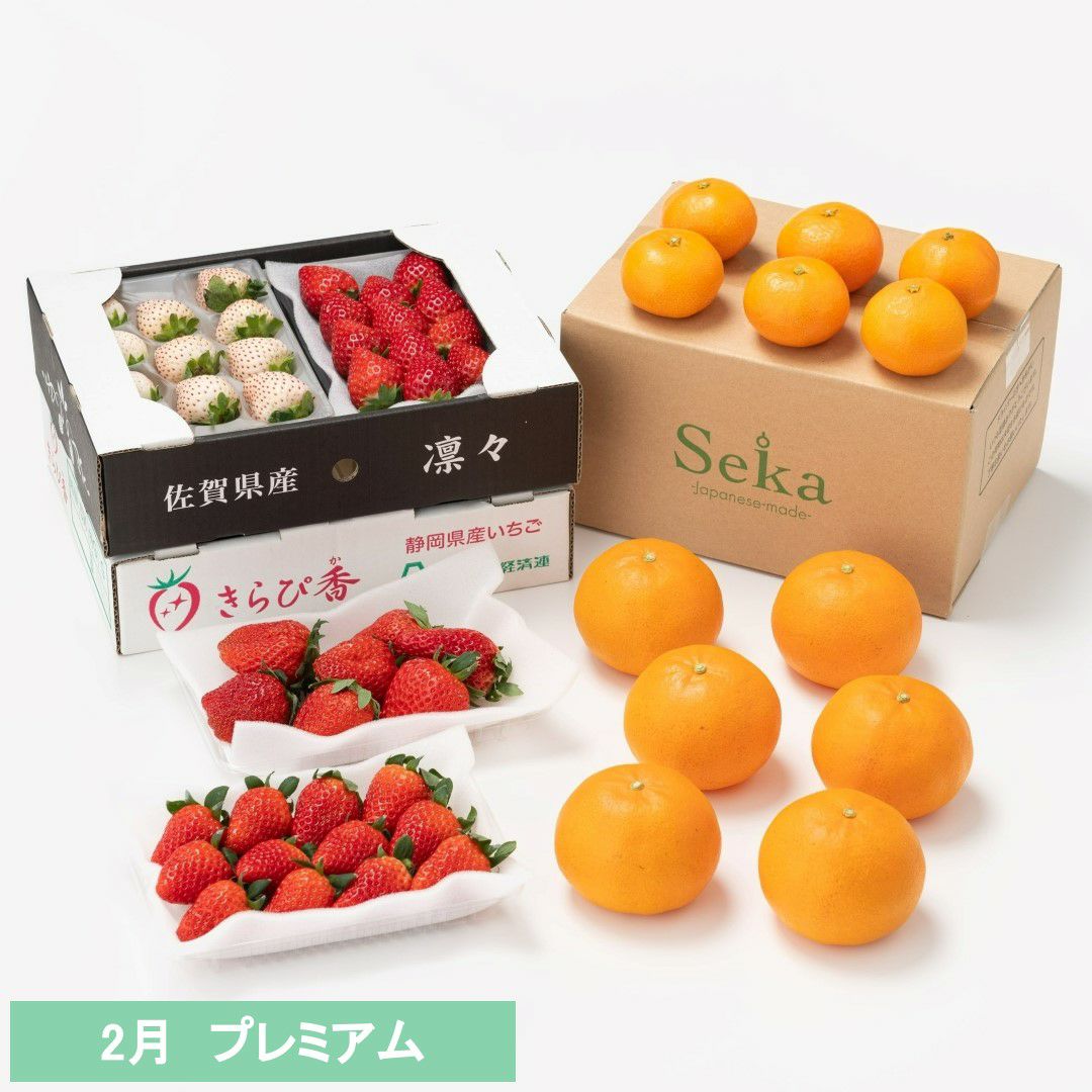 たべごろフルーツ定期便　プレミアムコース3カ月継続プラン（9,780円×3カ月）