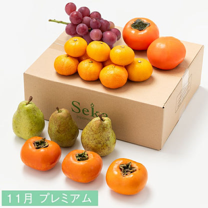 たべごろフルーツ定期便　プレミアムコース6カ月継続プラン（9,680円×6カ月）