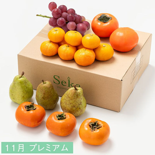 たべごろフルーツ定期便　プレミアムコース6カ月継続プラン（9,680円×6カ月）