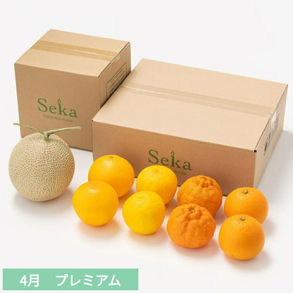 たべごろフルーツ定期便　プレミアムコース6カ月継続プラン（9,680円×6カ月）