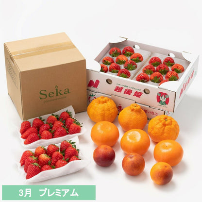 たべごろフルーツ定期便　プレミアムコース6カ月継続プラン（9,680円×6カ月）