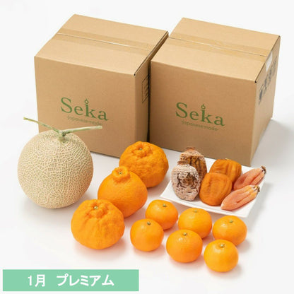 たべごろフルーツ定期便　プレミアムコース6カ月継続プラン（9,680円×6カ月）