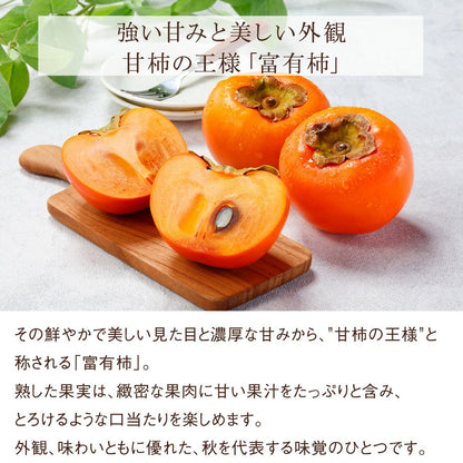 富有柿