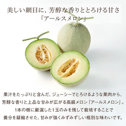 国産 アールスメロン（1玉、約1.2kg） 