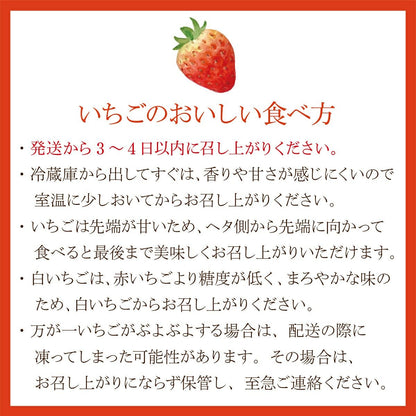 いちご食べ方