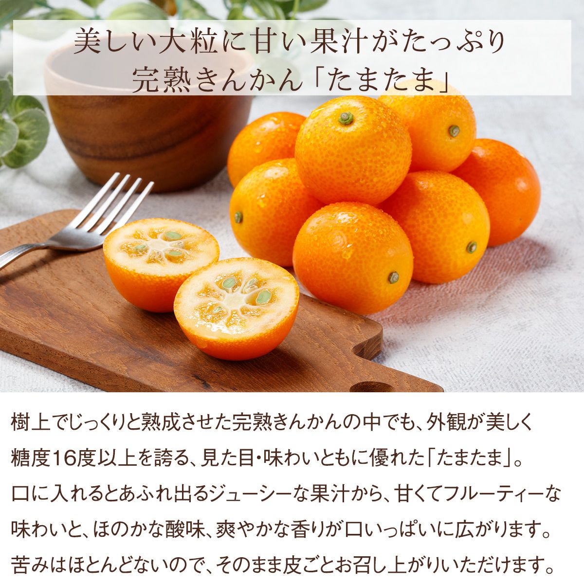 たまたま
