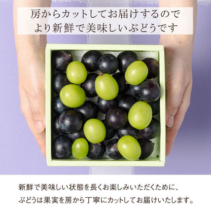 国産シャインマスカット（1カップ）と梨（1玉）とりんご（1玉）