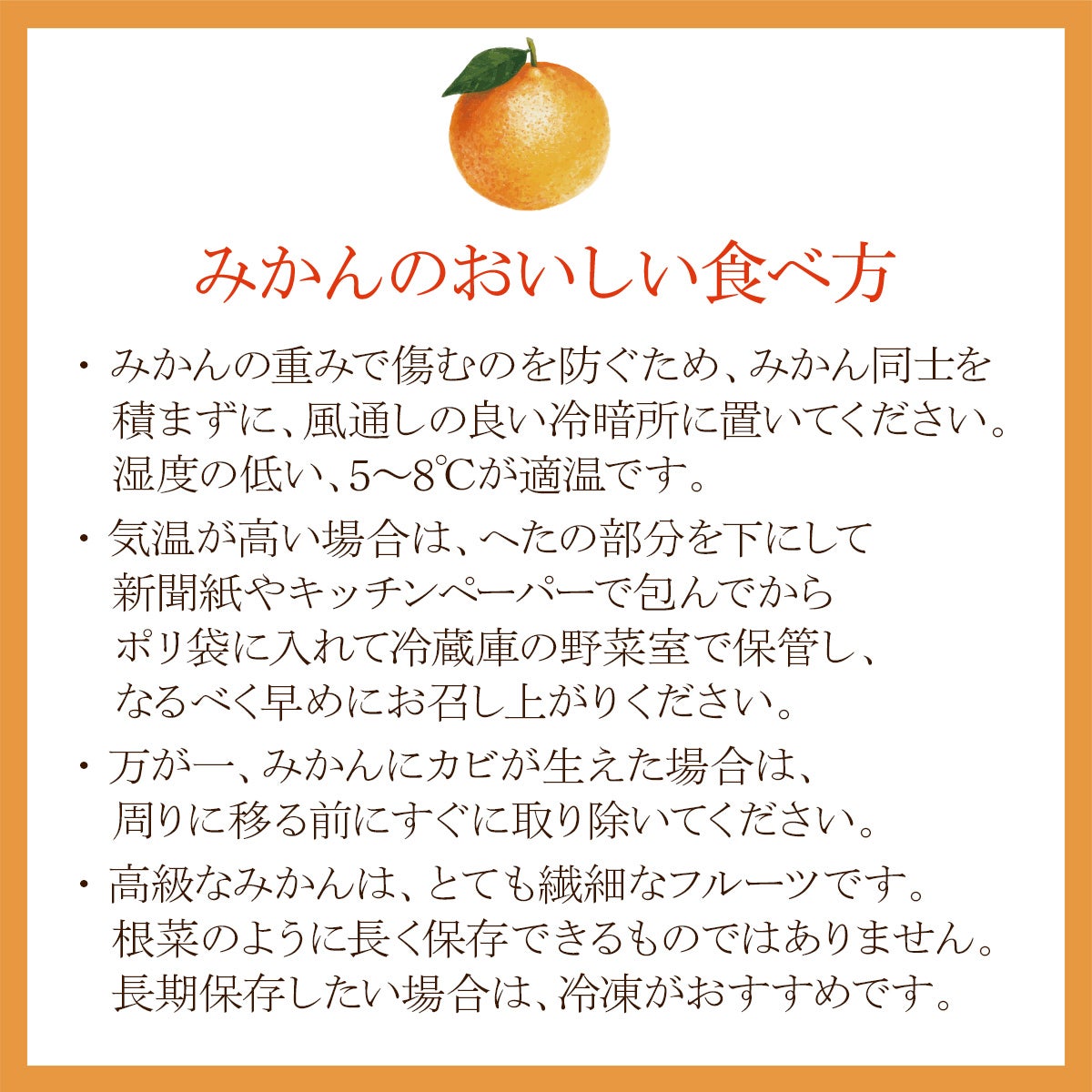 国産シャインマスカット（1カップ）とりんご（1玉）とみかん（3玉）