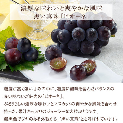 旬の国産シャインマスカット等ぶどう3種の食べ比べギフト