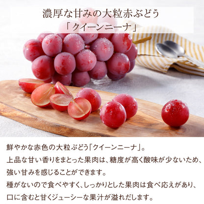 国産シャインマスカット等ぶどう3種の食べ比べ（各2カップ）