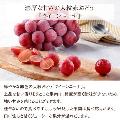 ぶどう詳細