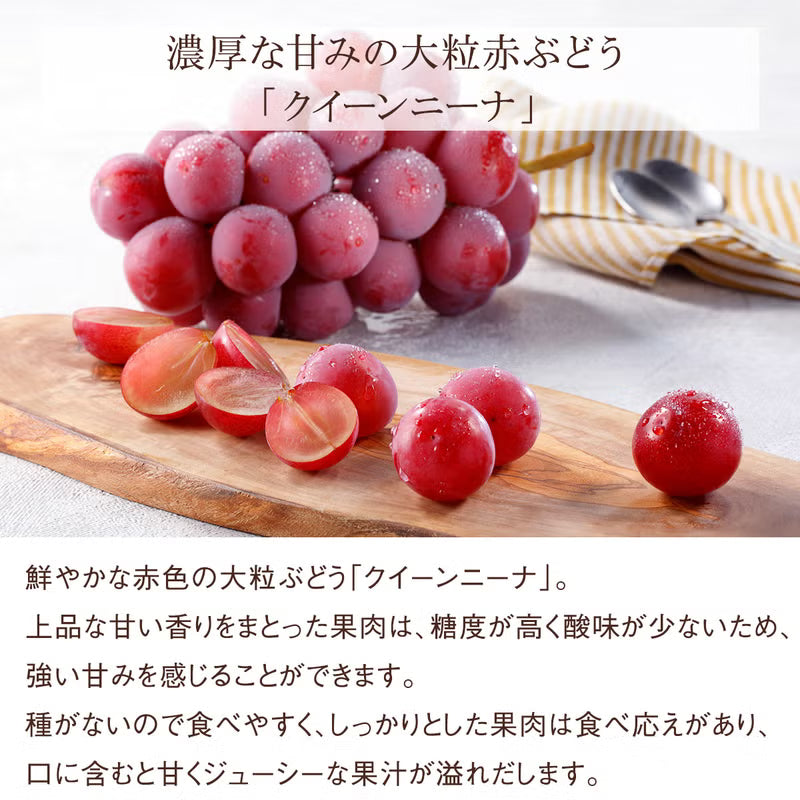 旬の国産シャインマスカット等ぶどう3種の食べ比べ＆岡山白桃ゼリー4個とフルーツティーのミニお重セット