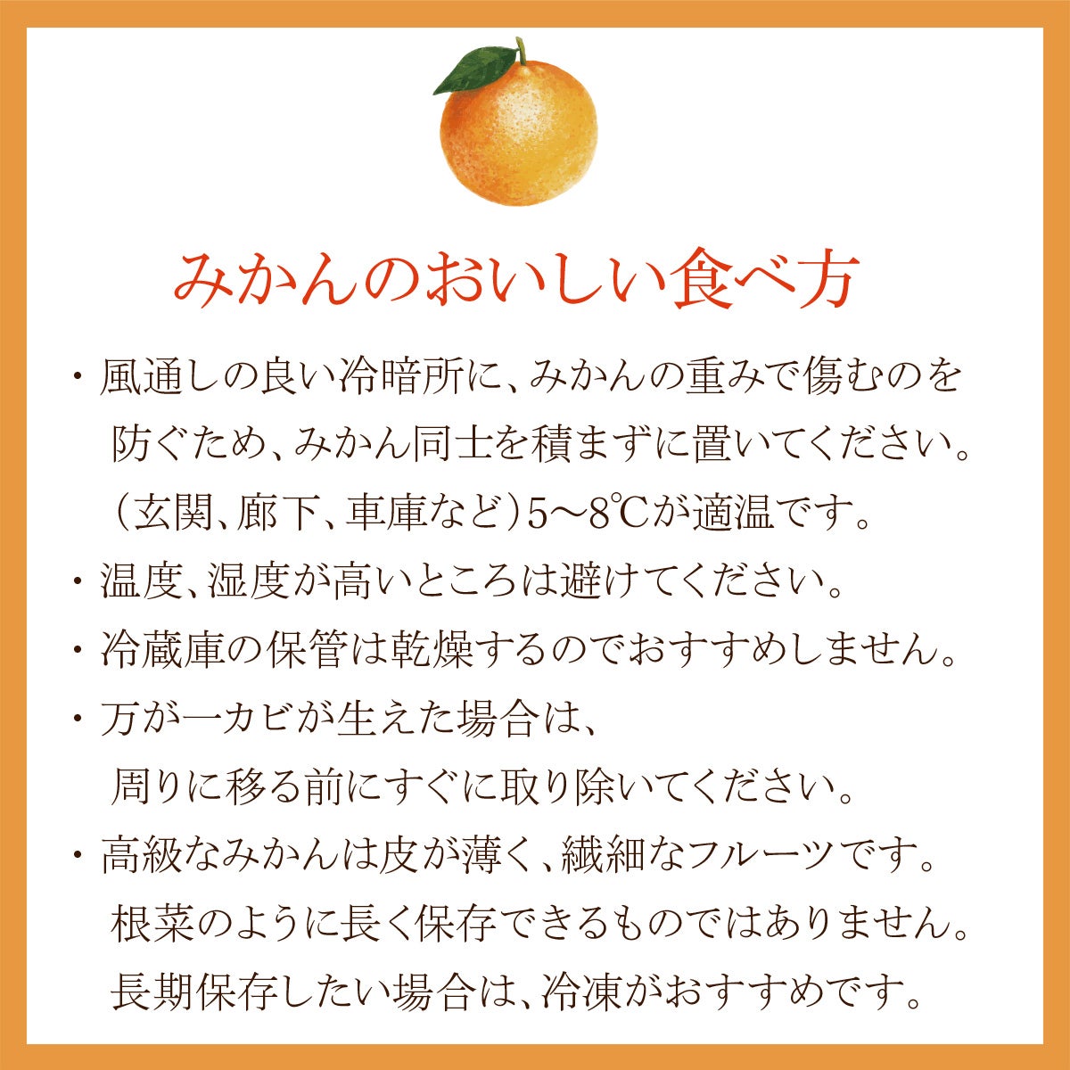 旬の国産シャインマスカットとナガノパープルの食べ比べと国産フルーツ&岡山白桃プリンとフルーツティーの3段お重セット