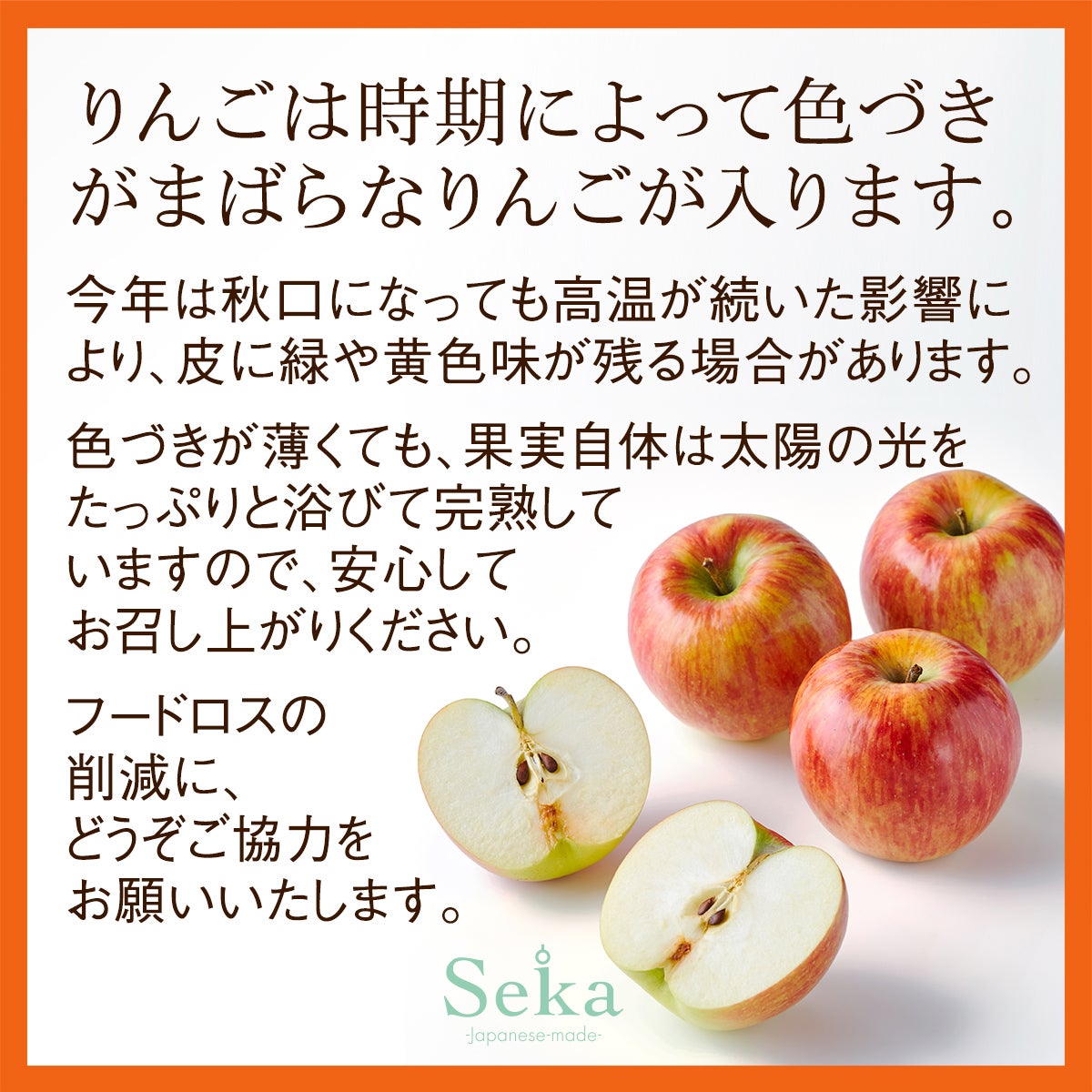 旬の国産シャインマスカットとナガノパープルの食べ比べと国産フルーツ&岡山白桃プリンとフルーツティーの3段お重セット