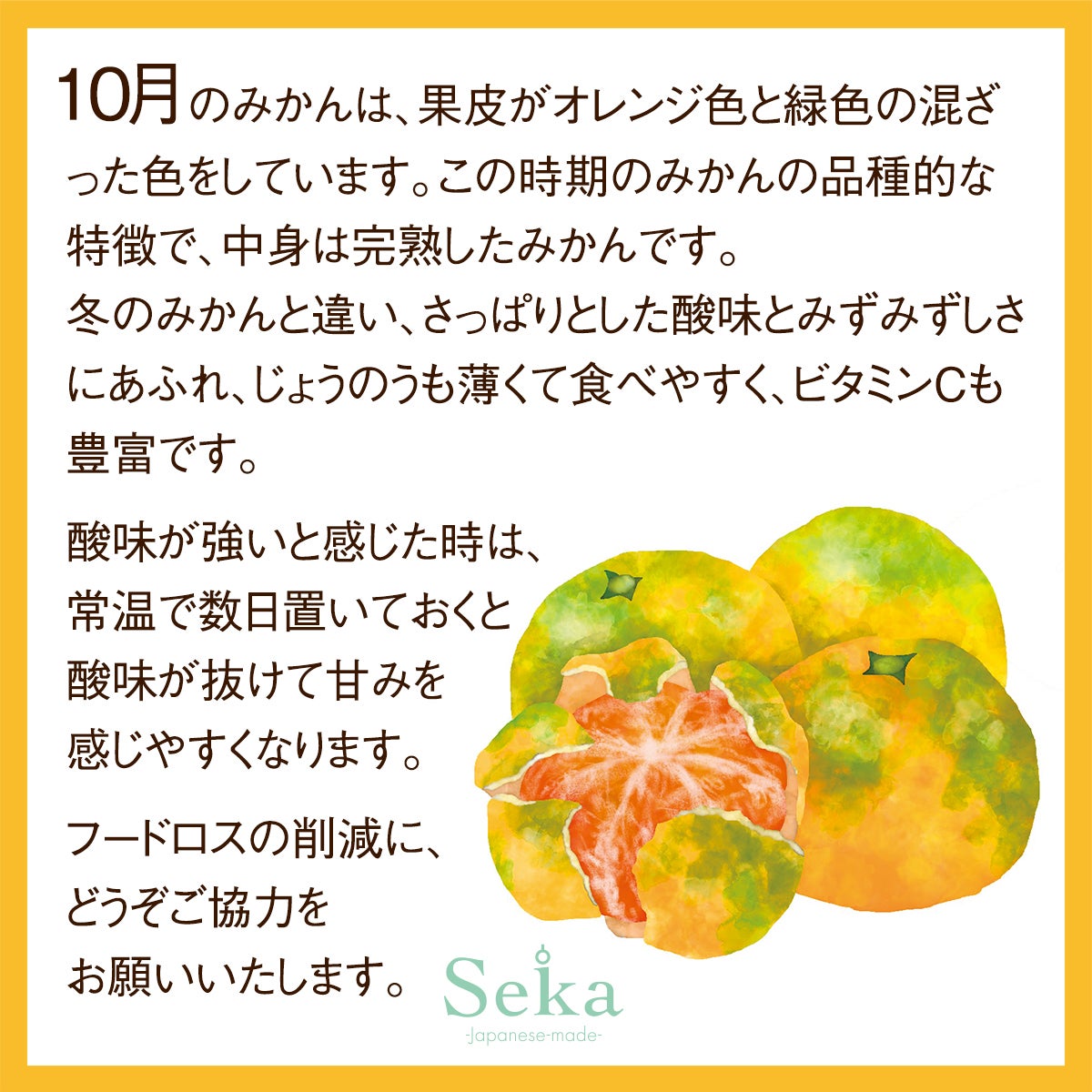 旬の国産シャインマスカットとナガノパープルの食べ比べと国産フルーツ&岡山白桃プリンとフルーツティーの3段お重セット