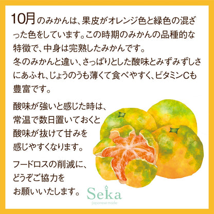 旬の国産シャインマスカットとナガノパープルの食べ比べと国産フルーツ&岡山白桃プリンとフルーツティーの3段お重セット