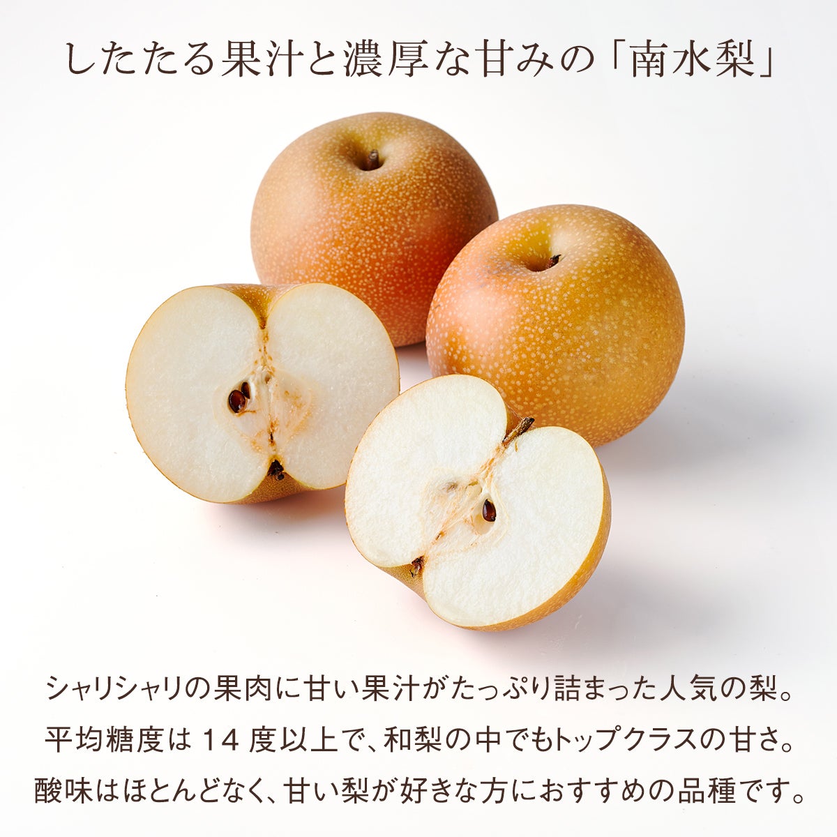 【ハロウィーンカード＆デコシール付き】国産和梨（1玉）と柿（1玉）とりんご（1玉）