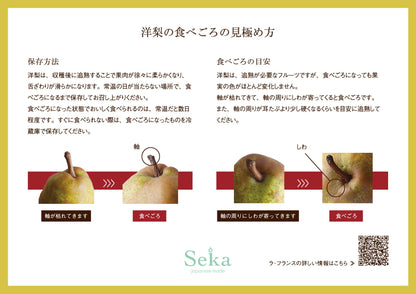 国産洋梨（1玉）と赤りんご（1玉）とみかん（3玉）