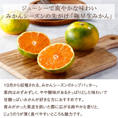 【ハロウィーンカード＆デコシール付き】旬の国産シャインマスカットとナガノパープルの食べ比べと柿などのミニお重セット