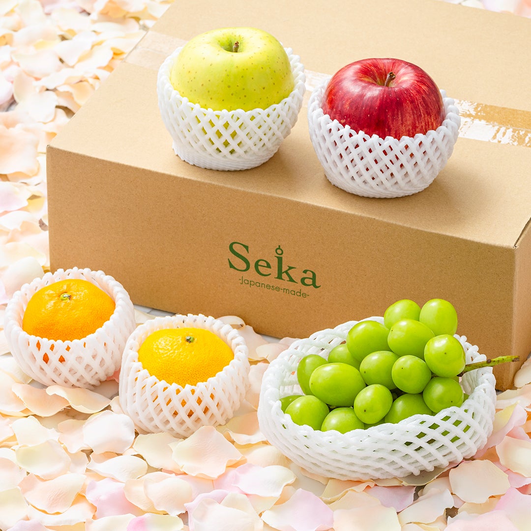 《エコ梱包》Seika公式ショップ リニューアル記念ミステリーボックス