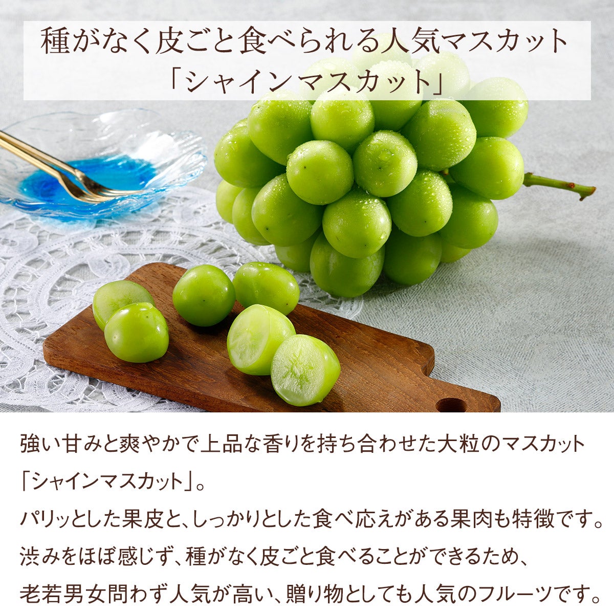 《エコ梱包》Seika公式ショップ リニューアル記念ミステリーボックス