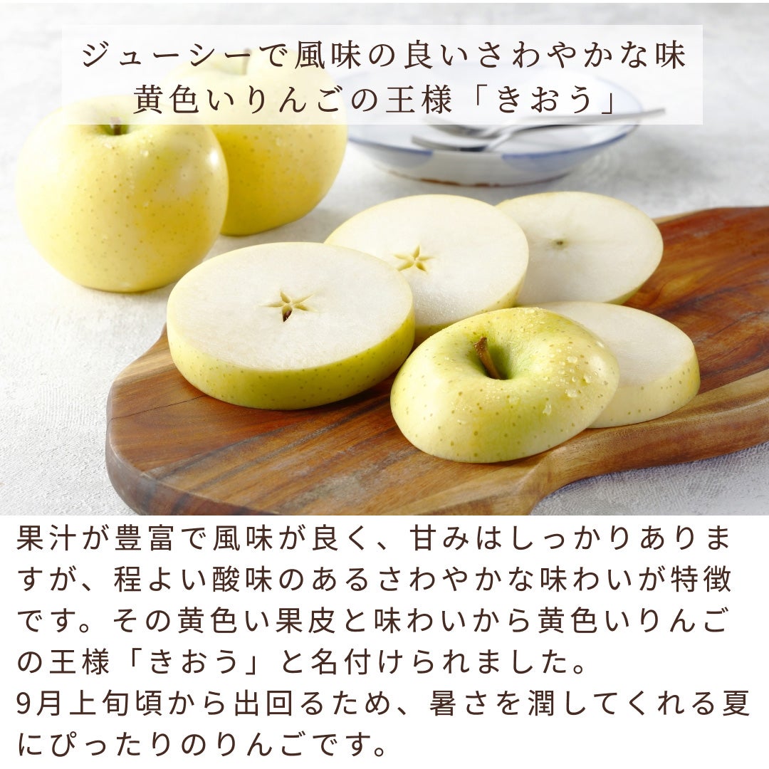 《エコ梱包》Seika公式ショップ リニューアル記念ミステリーボックス