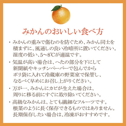 《エコ梱包》Seika公式ショップ リニューアル記念ミステリーボックス