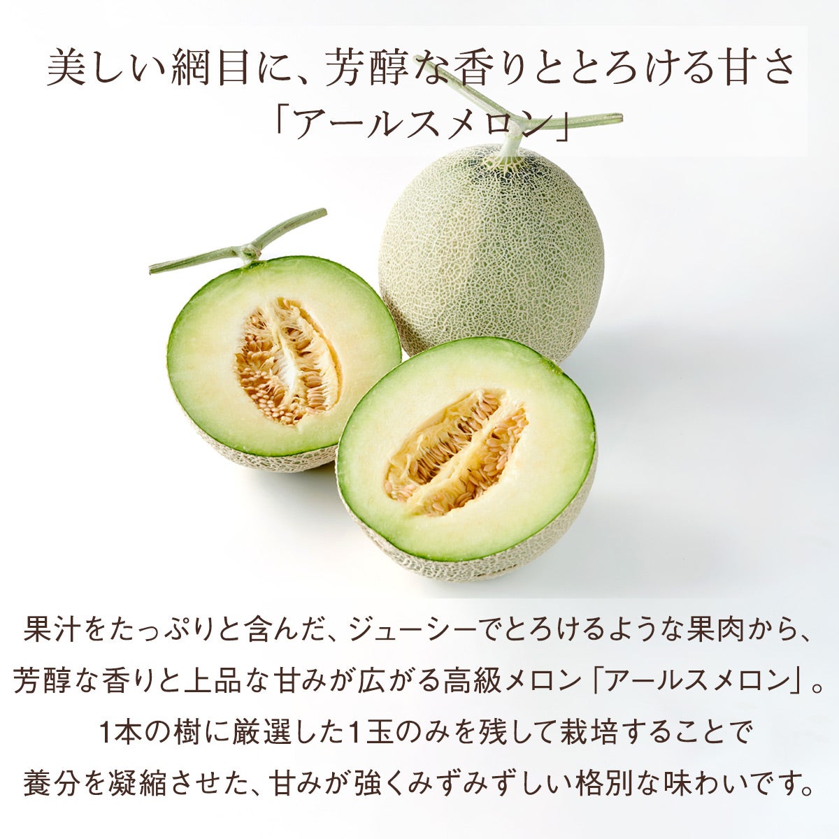 国産シャインマスカット（1房、約500g）とアールスメロン《青肉（グリーン）》（1玉、約1.2kg）