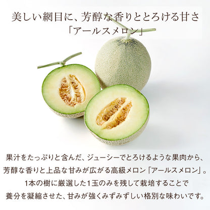国産シャインマスカット（1房、約500g）とアールスメロン《青肉（グリーン）》（1玉、約1.2kg）