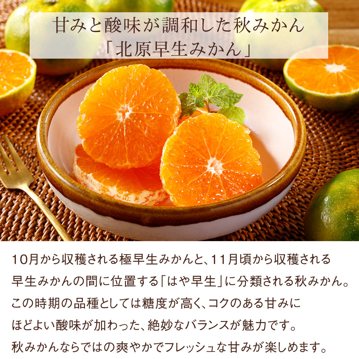 《エコ梱包》Seika公式ショップ リニューアル記念ミステリーボックス