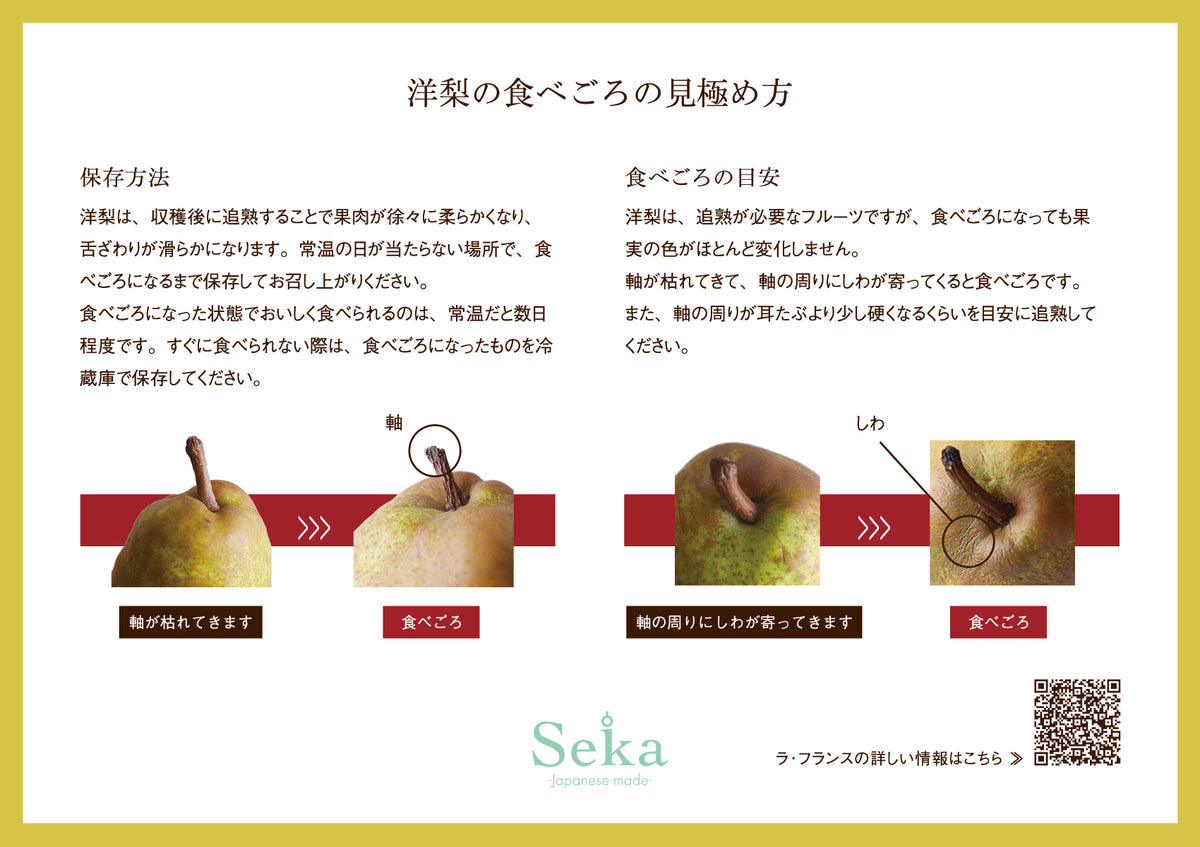 香川県産さぬきゴールド キウイフルーツ（2玉）と国産ラ・フランス（1玉）